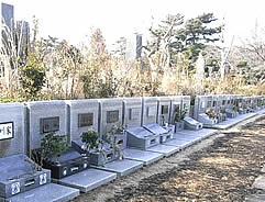 八柱墓地 壁面墓所