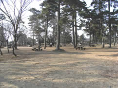 八柱墓地内 憩いの広場