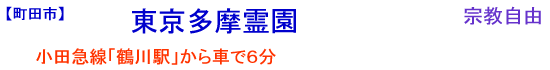 ���������쉀
