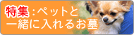 ���W�F�y�b�g�ƈꏏ�ɓ���邨��