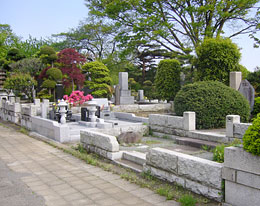 多磨霊園の墓域風景