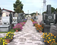 平塚中央霊園　お花に囲まれた墓所