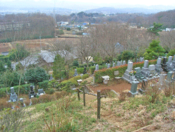 延立寺 眺望
