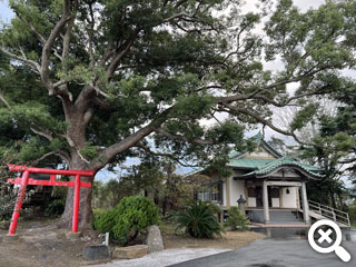 掛松寺 本堂