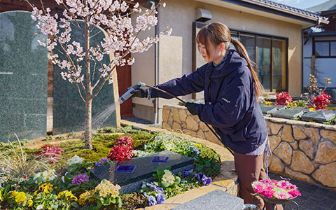 植栽管理イメージ