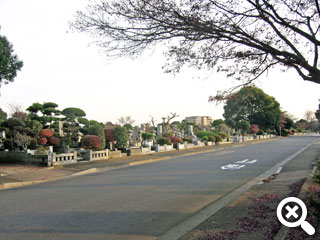 広い通路がある墓域風景写真