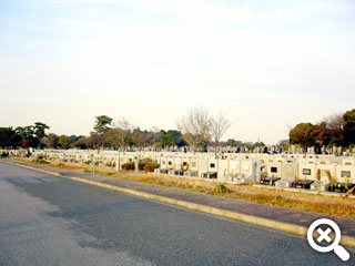 壁墓所が並んだ風景写真