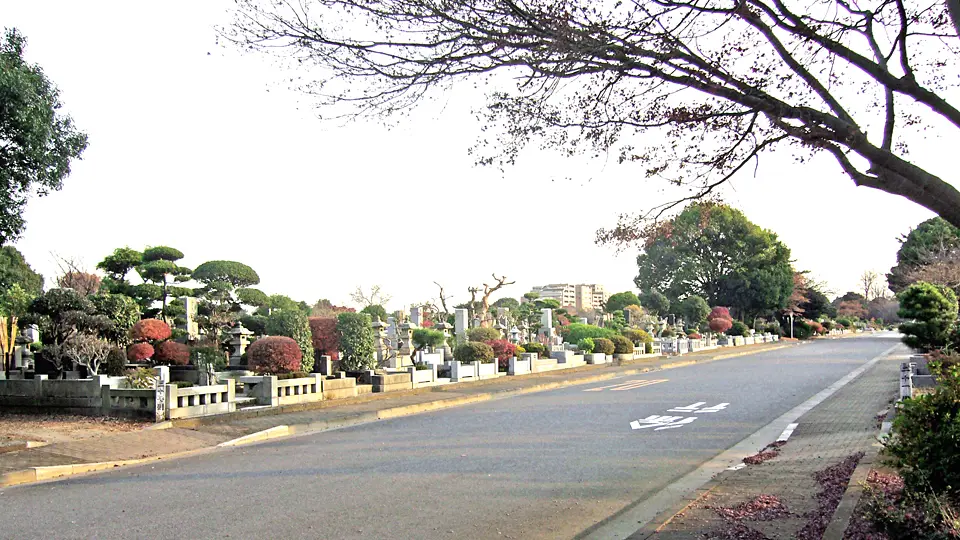 園内道路