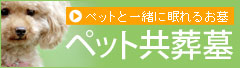 ペットと一緒に入れるお墓