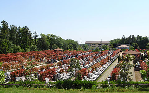 園内の風景写真