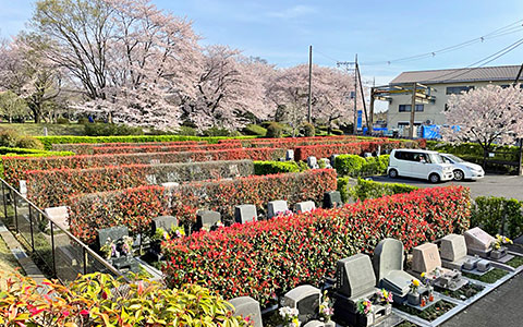 桜の季節の園内の写真