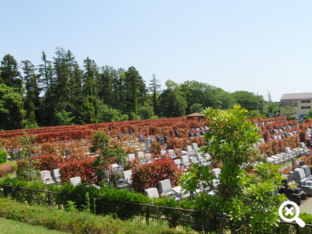 芹沢公園に隣接し緑あふれる好環境です。