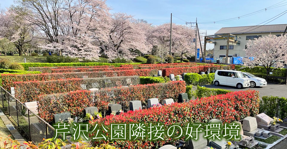 芹沢公園隣接の好環境