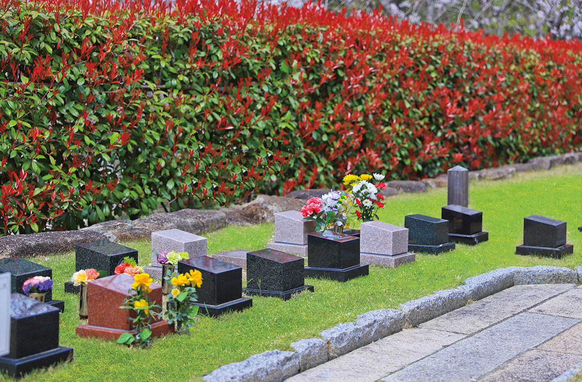 富士の丘【朝陽の杜墓苑】個別永代供養墓 | お墓のご案内-美郷石材