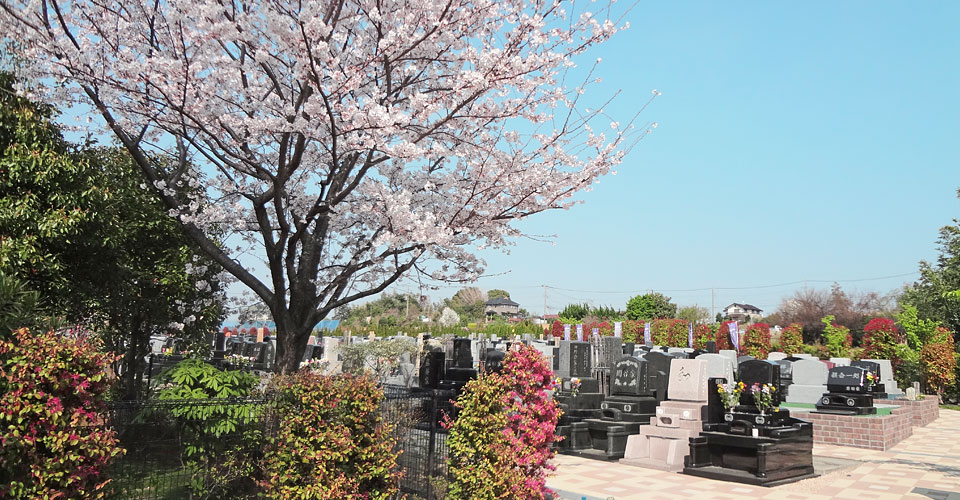 桜の季節