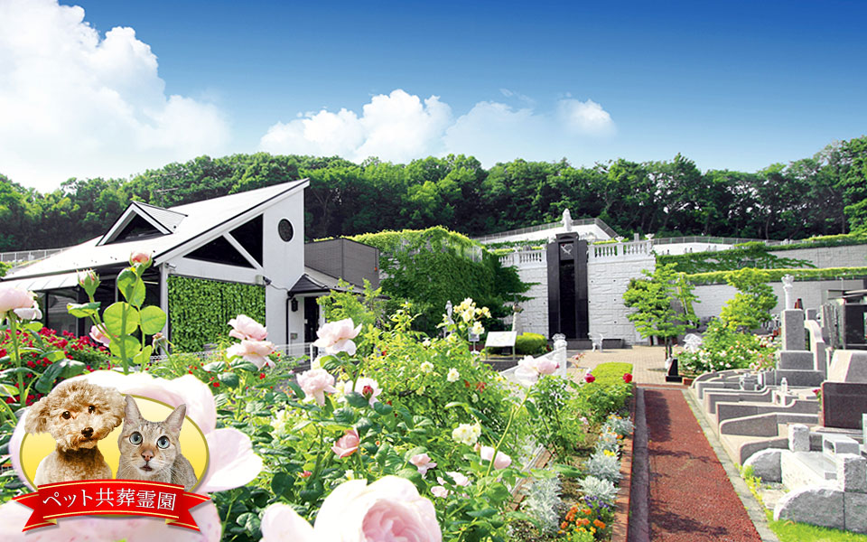 ヒルズ川崎聖地