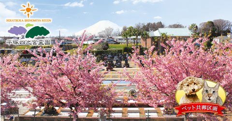平塚四之宮霊園 平塚駅北口より車で約9分!桜並木が見守る収容不問の公園墓地