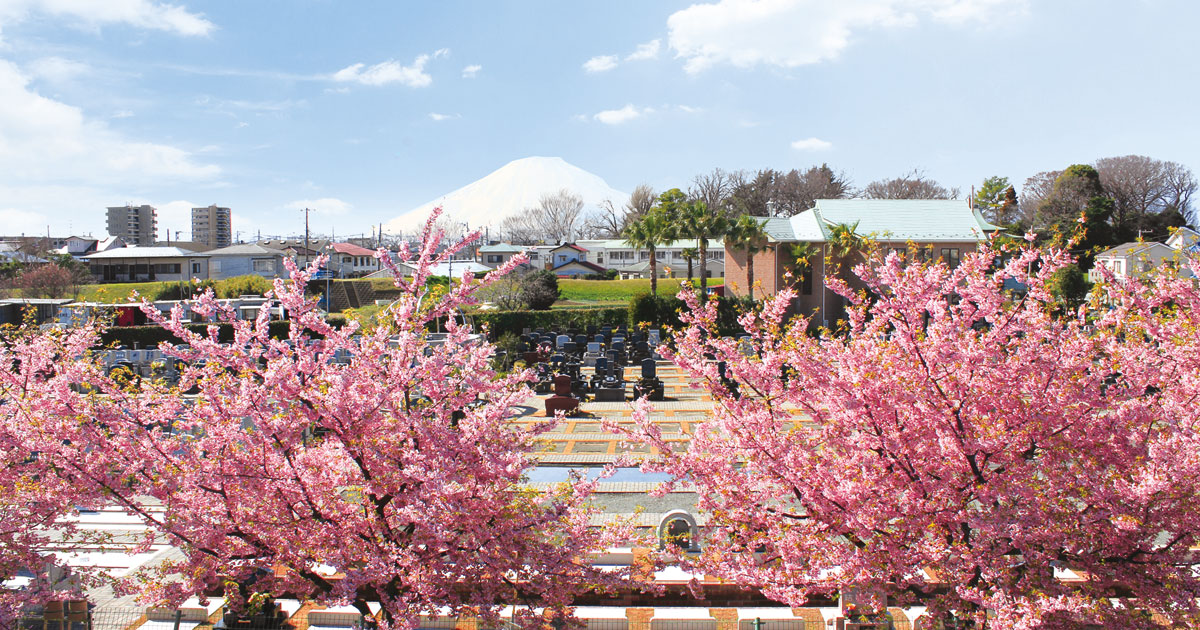 WS 母の墓前にて ofr 4枚 平塚四之宮霊園 | お仏壇のはせがわ【公式】