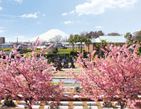 平塚四之宮霊園