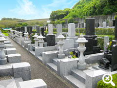 和風の一般墓所の写真