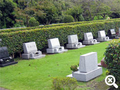 芝生墓所の写真