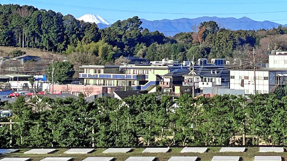 墓域から見える富士山
