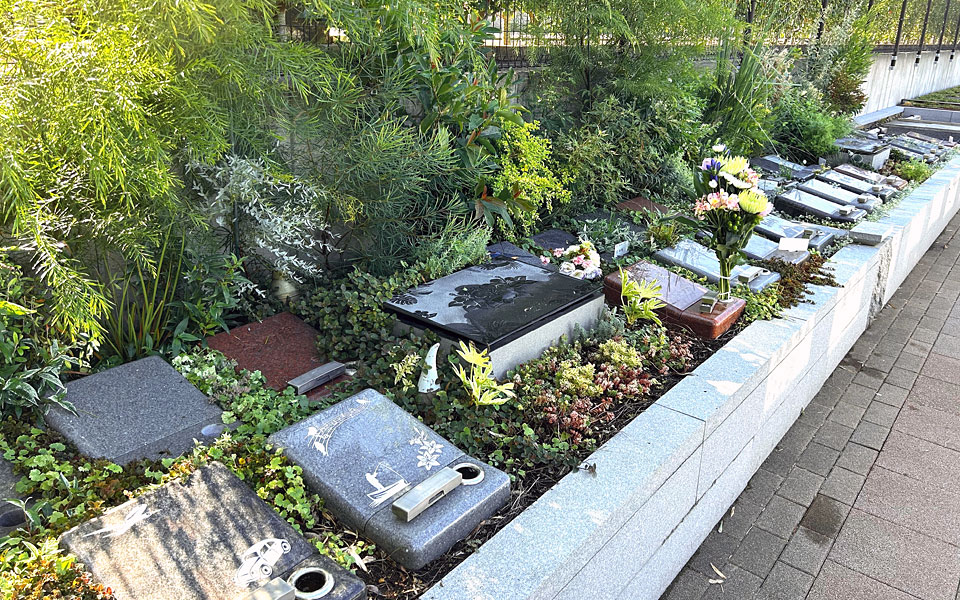 フラワーベッド オハナ