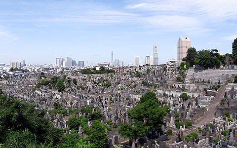 墓域風景