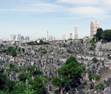 久保山墓地墓域風景