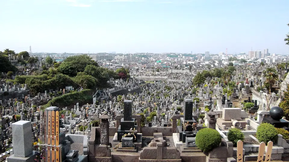 高台からの眺め