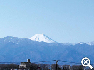 園内から見た富士山
