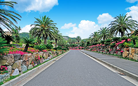 南国リゾートの様な園内