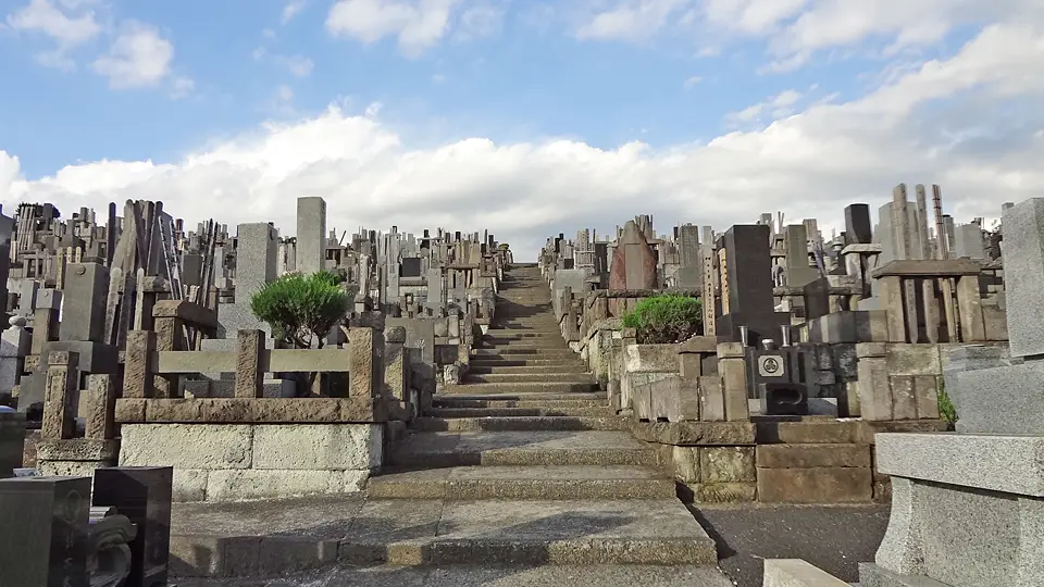 高台からの眺め