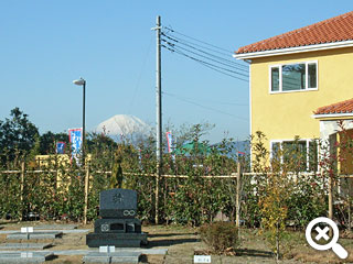 園内から見た富士山