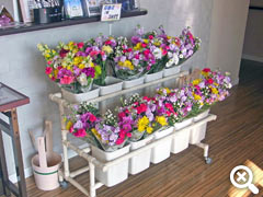 管理棟で販売されている仏花