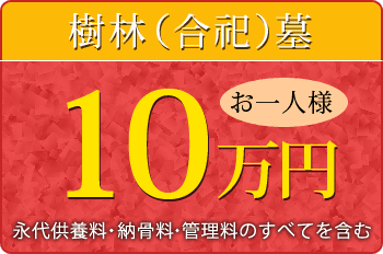 樹林合祀墓 お一人様 10万円 永代供養料・納骨料・管理料のすべてを含む