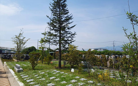 樹木葬の墓域風景