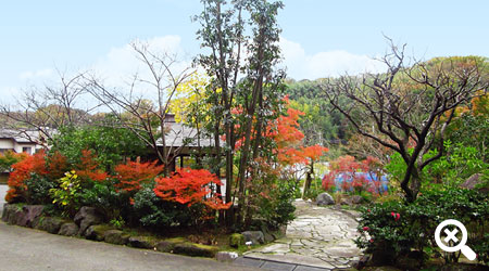 龍散禅寺 流れ枯山水庭園