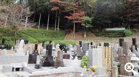 龍散寺 一般墓域