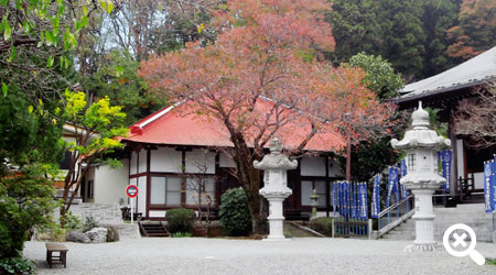 龍散寺 本堂