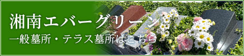 湘南エバーグリーン 一般墓