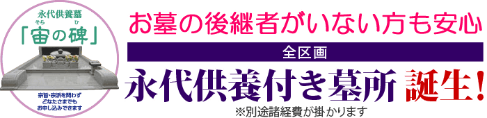 永代供養墓「宙の碑（そらのひ）」お墓の後継者がいない方も安心！【全区画】永代供養付き墓所誕生！※別途諸経費が掛かります