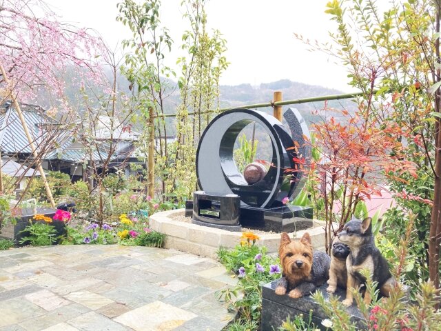 慈光（じこう）の写真