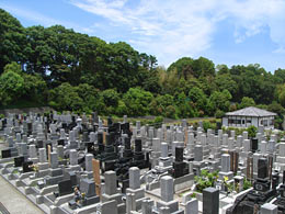 墓域風景の写真