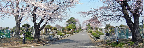 松戸市の公営霊園