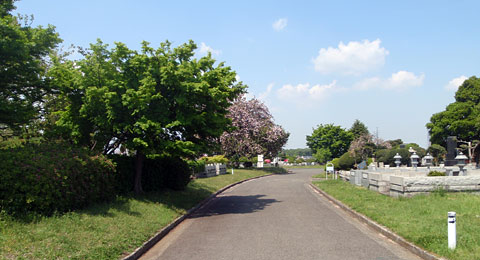 緑ヶ丘霊園