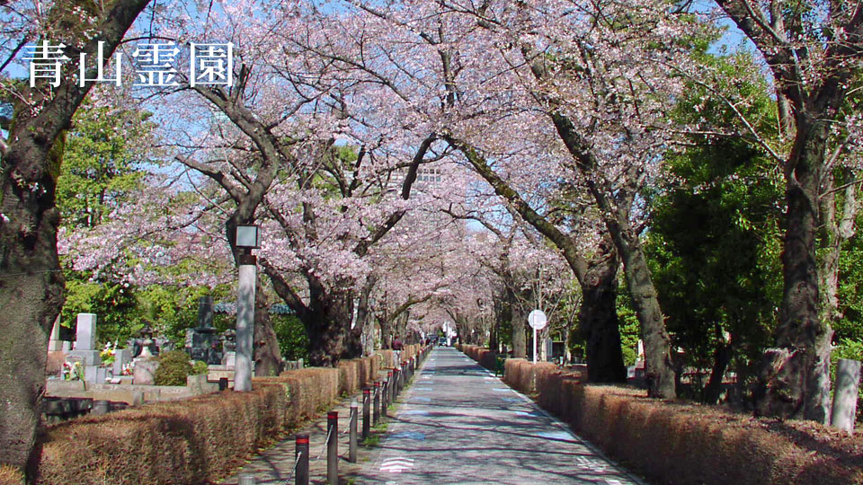 青山霊園