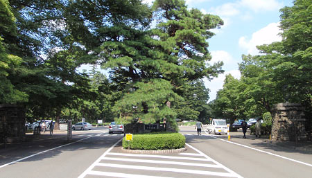 多磨霊園