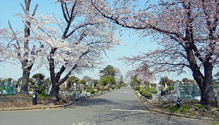 都立八柱霊園