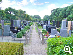 緑の多い墓域風景